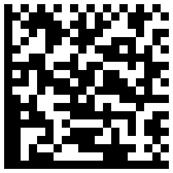 Data Matrix sample